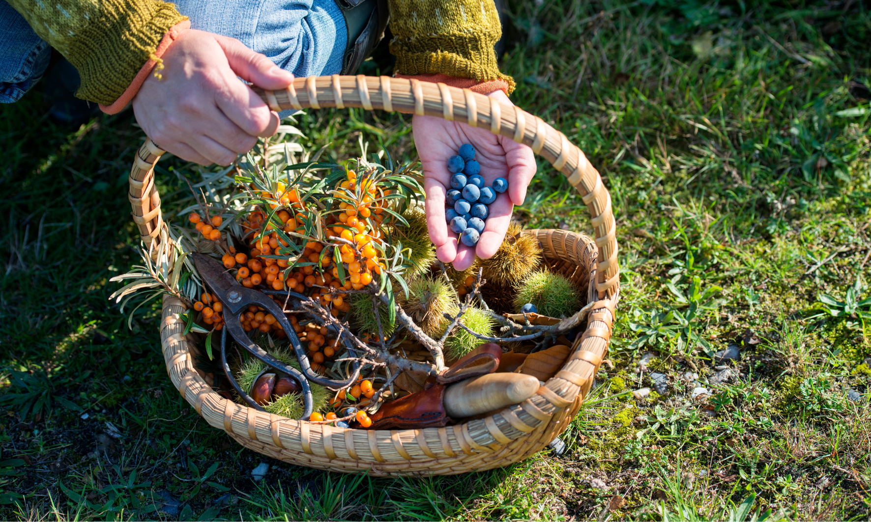 6 Healthy Changes Your Family Can Make this Winter