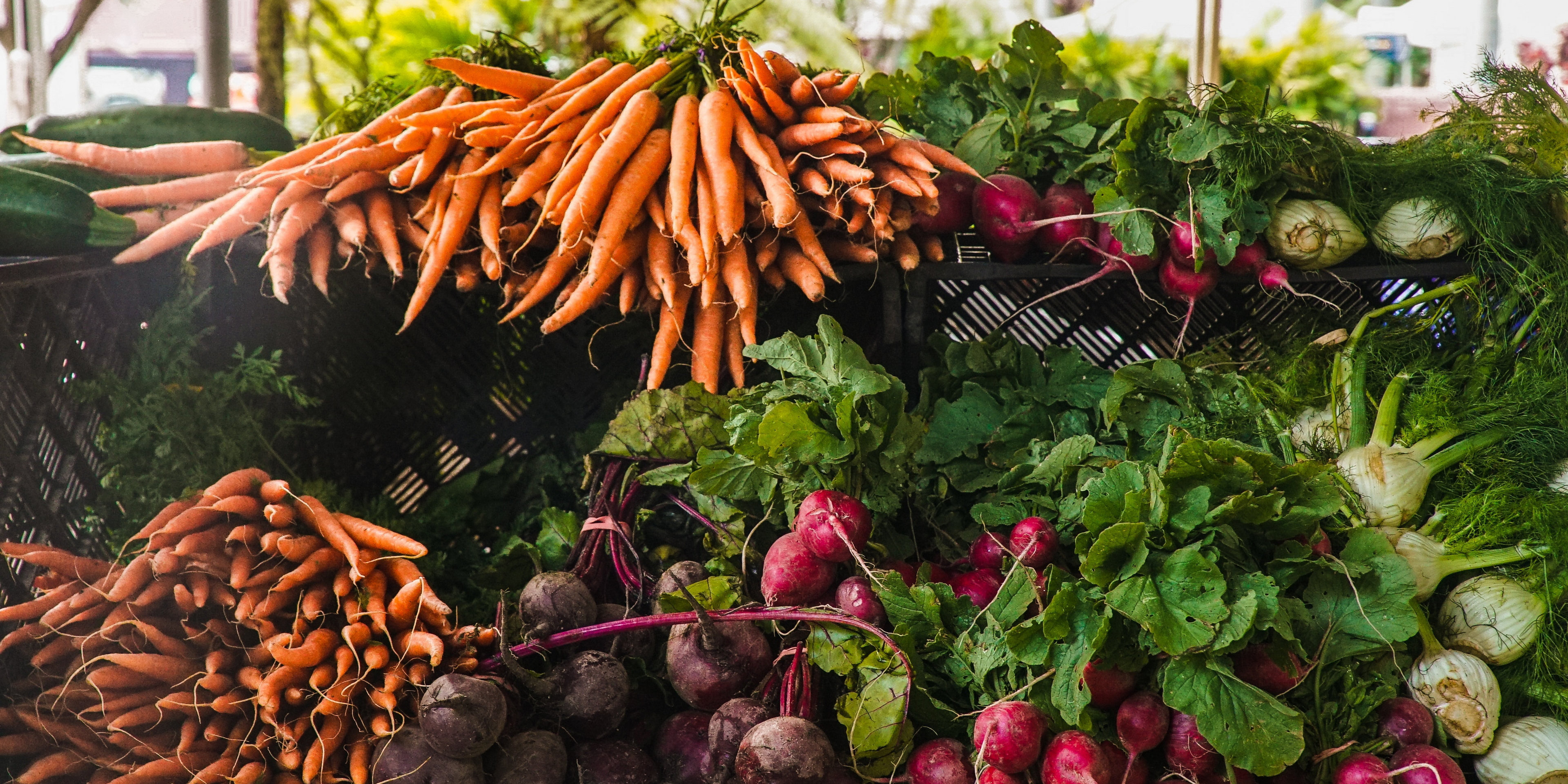 It’s Harvest Season: August is All About Fruits and Seeds!