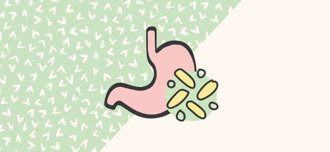 The Amazing Functions of the Gut Microbiome