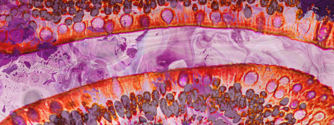 10 Incredible Facts About Your Gut Microbiome