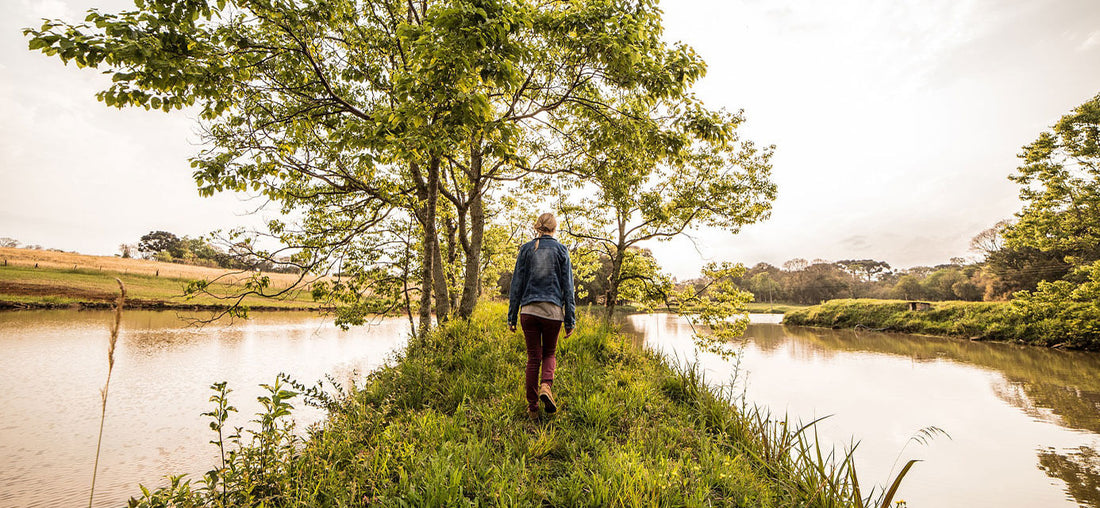 How to Rewild Yourself and Reconnect with Nature | 10 Tips