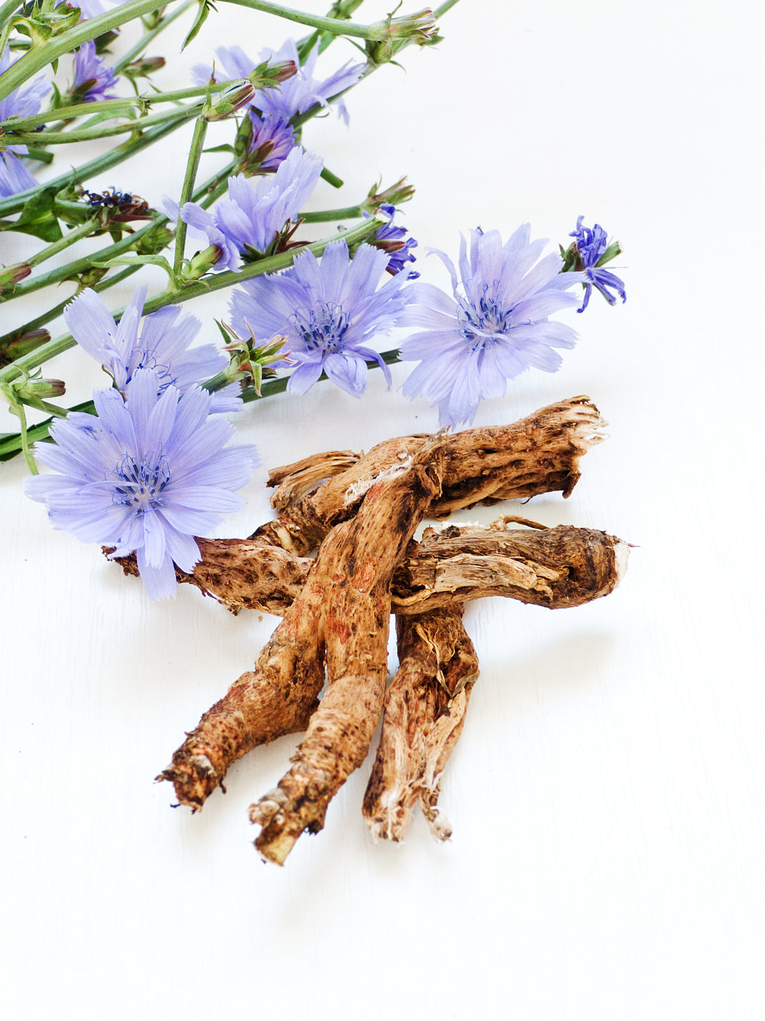 Why is Prebiotic Fibre So Good For You?