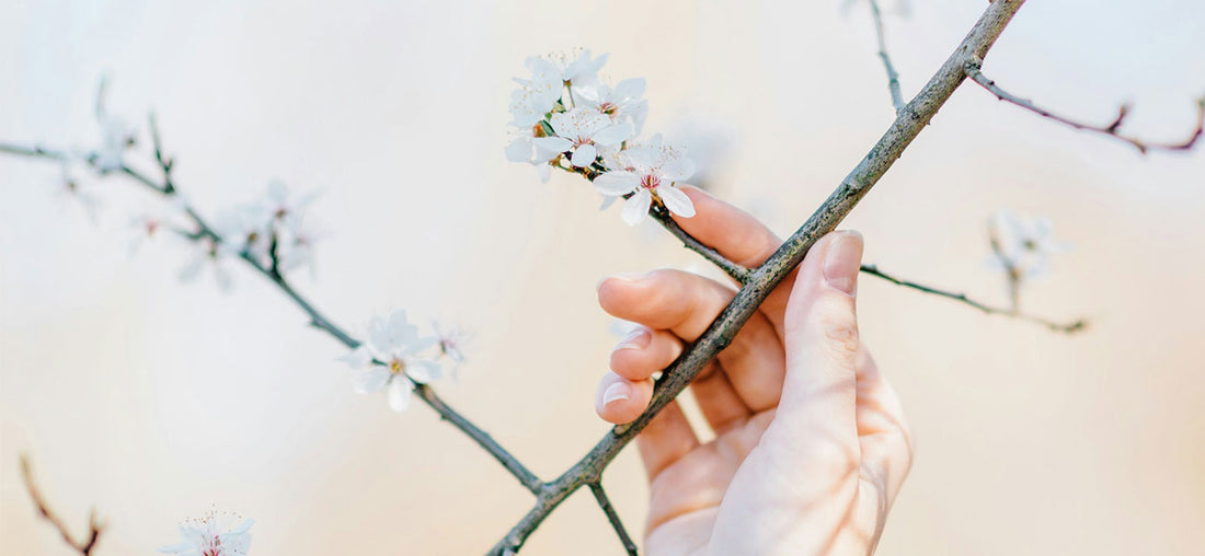 How to Celebrate the Spring Equinox | 8 Traditions