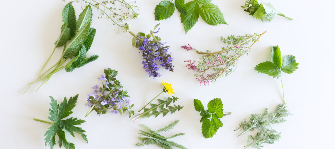 brilliant botanicals